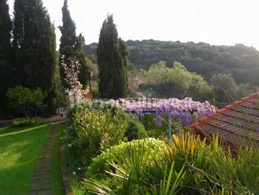 Immagine 17 di Rustico / casale in vendita  in loc. Il Sorbo snc a Monte Argentario