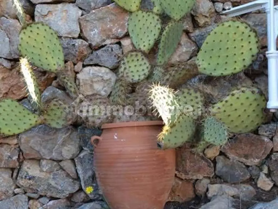 Immagine 19 di Rustico / casale in vendita  in loc. Il Sorbo snc a Monte Argentario