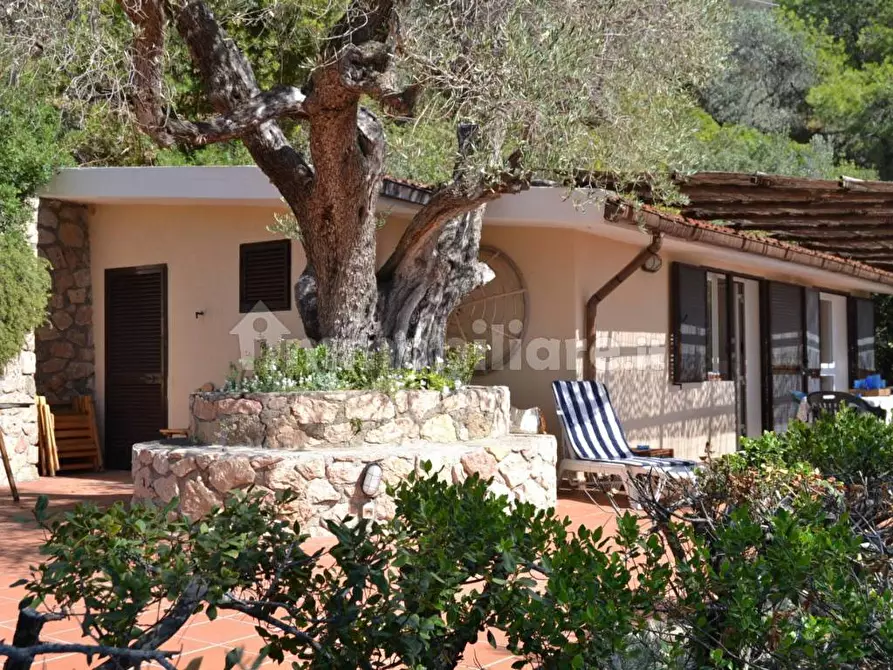Immagine 4 di Rustico / casale in affitto  in Strada Provinciale Panoramica Porto Santo Stefano snc a Monte Argentario