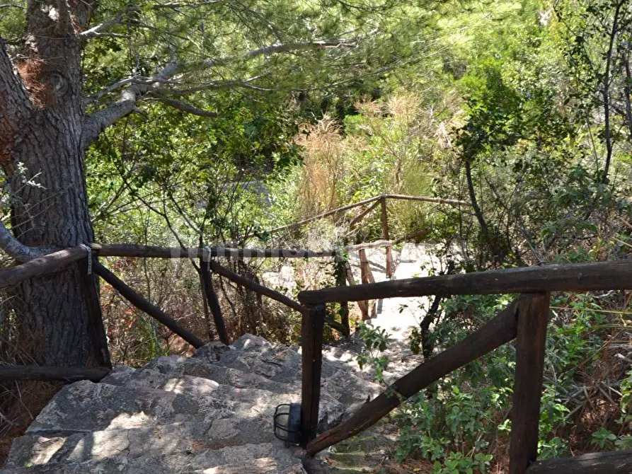Immagine 14 di Rustico / casale in affitto  in Strada Provinciale Panoramica Porto Santo Stefano snc a Monte Argentario