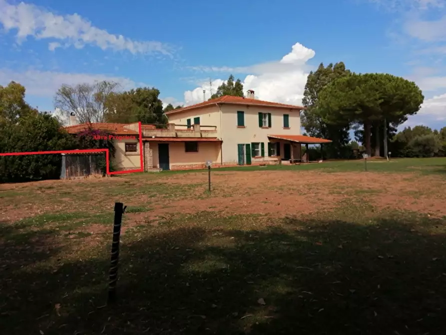 Immagine 23 di Rustico / casale in vendita  in Strada Provinciale 56 di San Donato a Orbetello