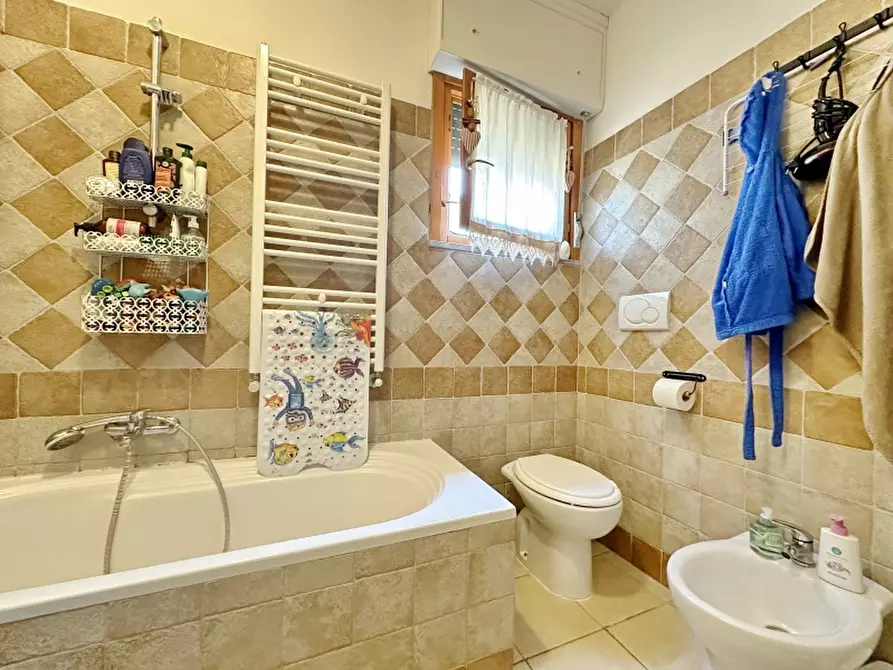 Immagine 19 di Appartamento in vendita  in via Rossini 12 a Gavorrano