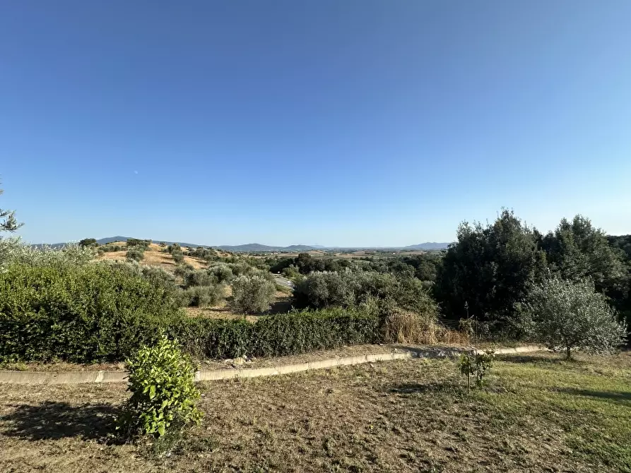 Immagine 2 di Rustico / casale in vendita  in via montemassi 15 a Roccastrada