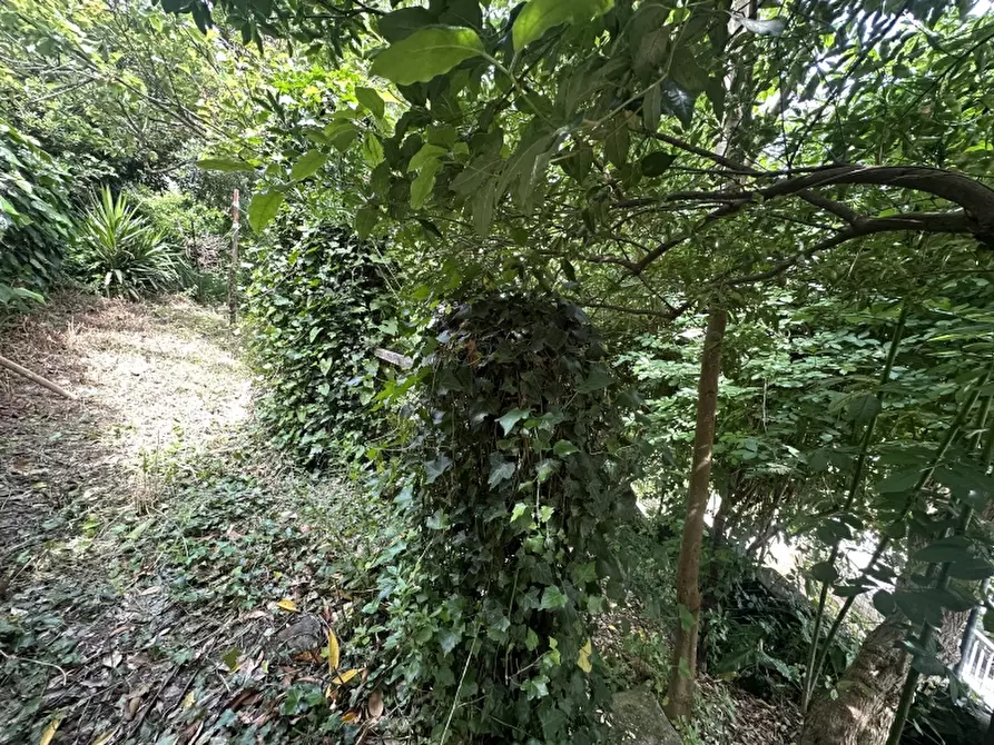 Immagine 22 di Appartamento in vendita  in via della Palestra 9 a Gavorrano