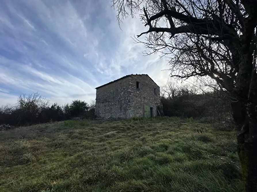Immagine 3 di Rustico / casale in vendita  in VIA ROSSINI 12 a Gavorrano