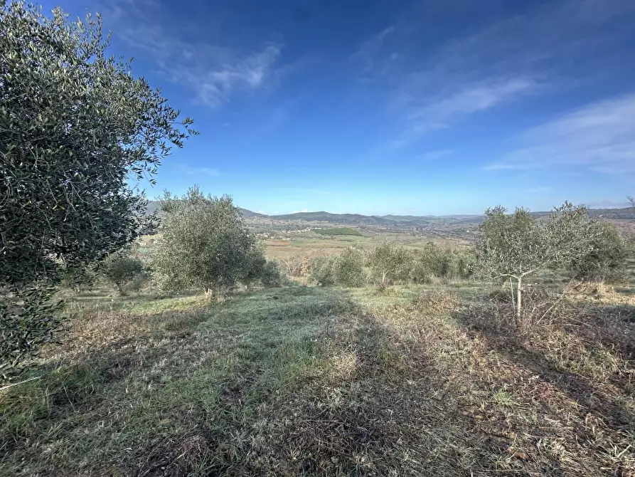 Immagine 12 di Rustico / casale in vendita  in VIA ROSSINI 12 a Gavorrano