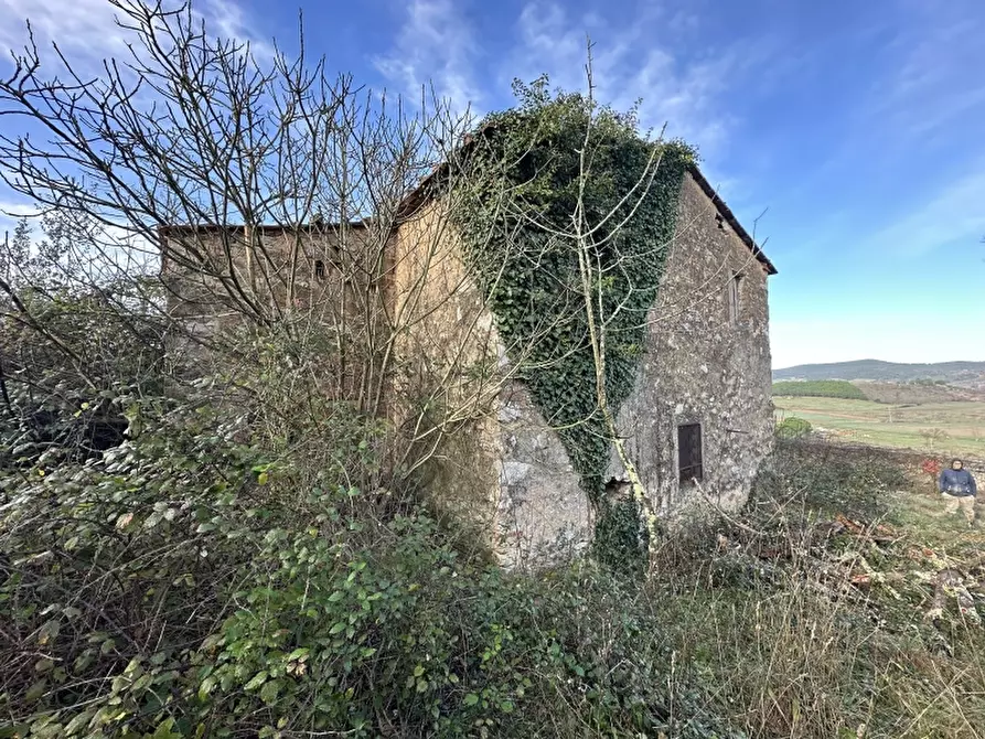 Immagine 4 di Rustico / casale in vendita  in VIA ROSSINI 12 a Gavorrano
