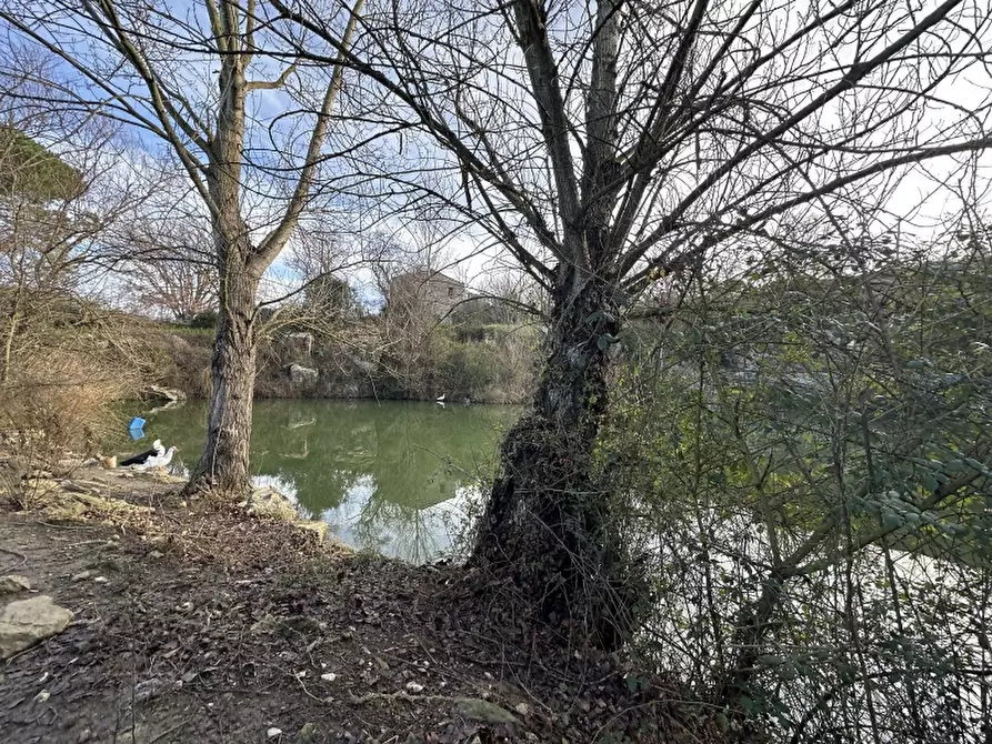 Immagine 6 di Rustico / casale in vendita  in VIA ROSSINI 12 a Gavorrano