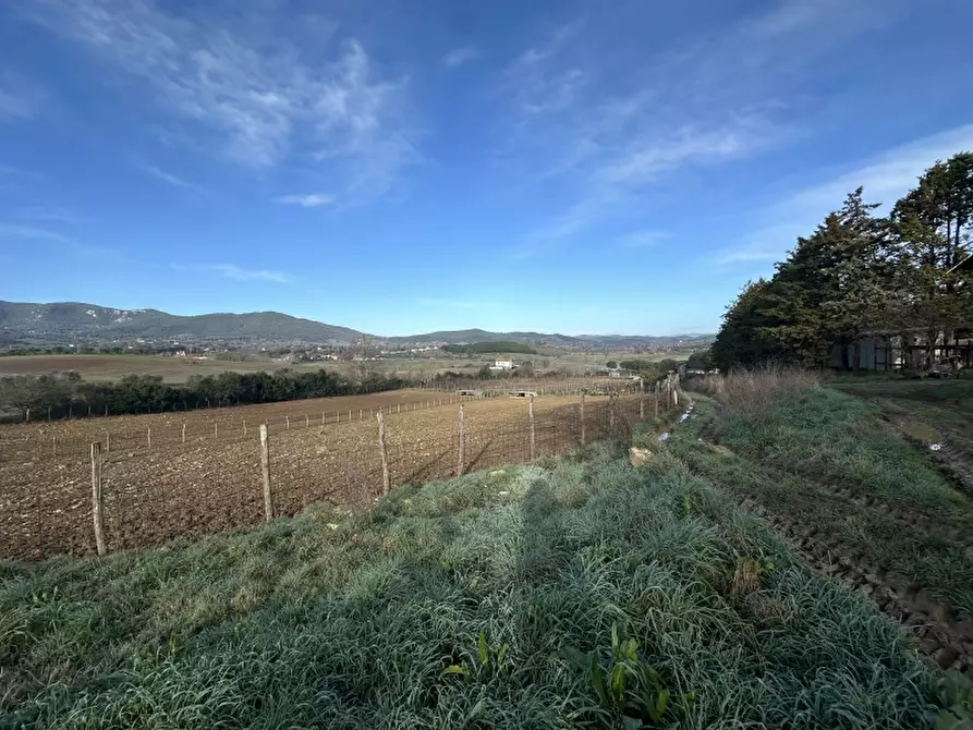 Immagine 7 di Rustico / casale in vendita  in VIA ROSSINI 12 a Gavorrano