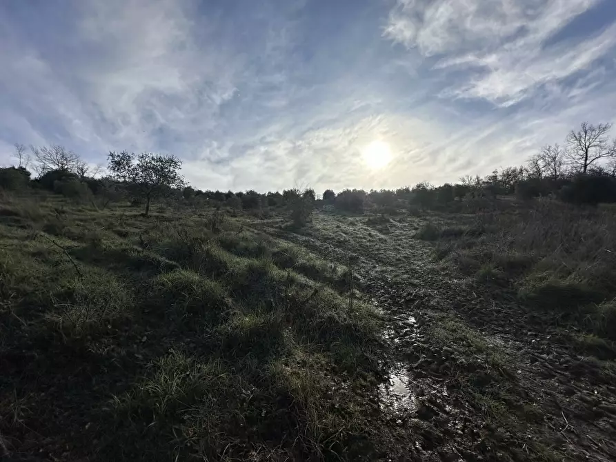 Immagine 8 di Rustico / casale in vendita  in VIA ROSSINI 12 a Gavorrano