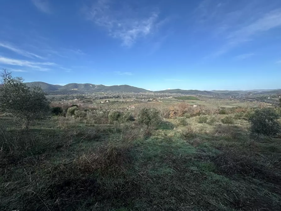Immagine 10 di Rustico / casale in vendita  in VIA ROSSINI 12 a Gavorrano