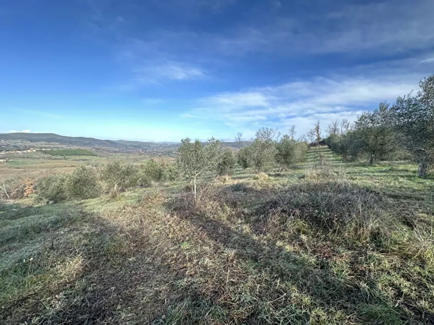 Immagine 11 di Rustico / casale in vendita  in VIA ROSSINI 12 a Gavorrano