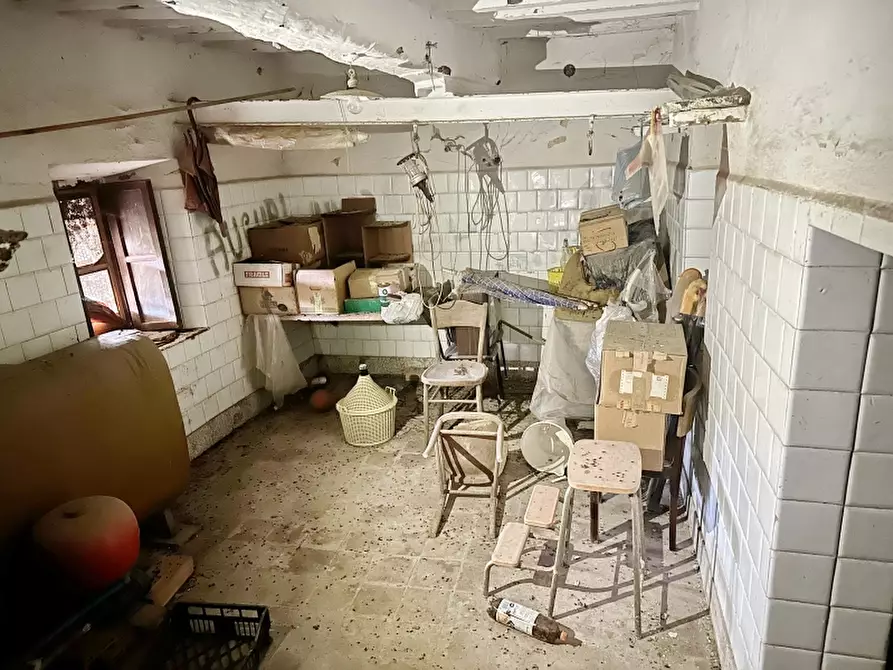 Immagine 24 di Appartamento in vendita  in VIA BANDI 15 a Gavorrano