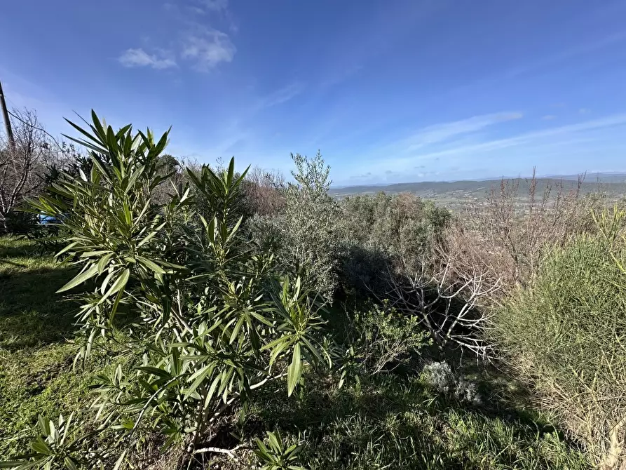 Immagine 21 di Appartamento in vendita  in VIA SAN CARLO 23 a Gavorrano