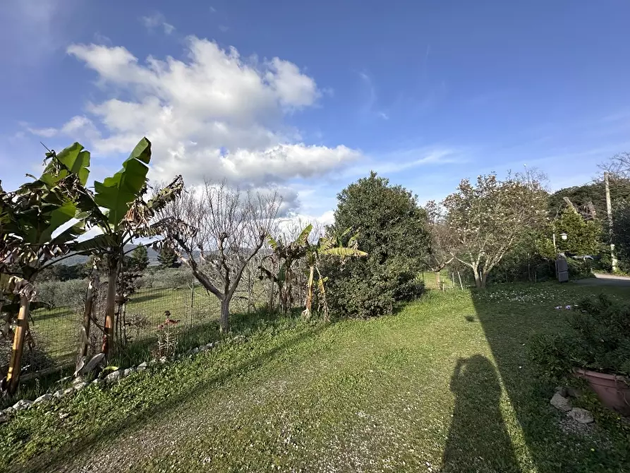 Immagine 30 di Casa indipendente in vendita  in localita' rigoloccio 22 a Gavorrano