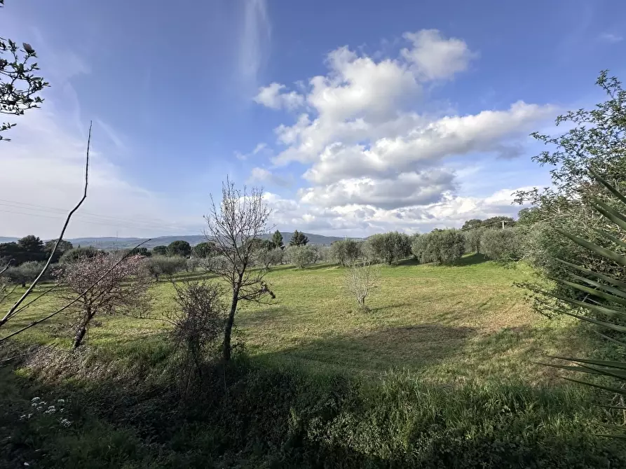 Immagine 31 di Casa indipendente in vendita  in localita' rigoloccio 22 a Gavorrano