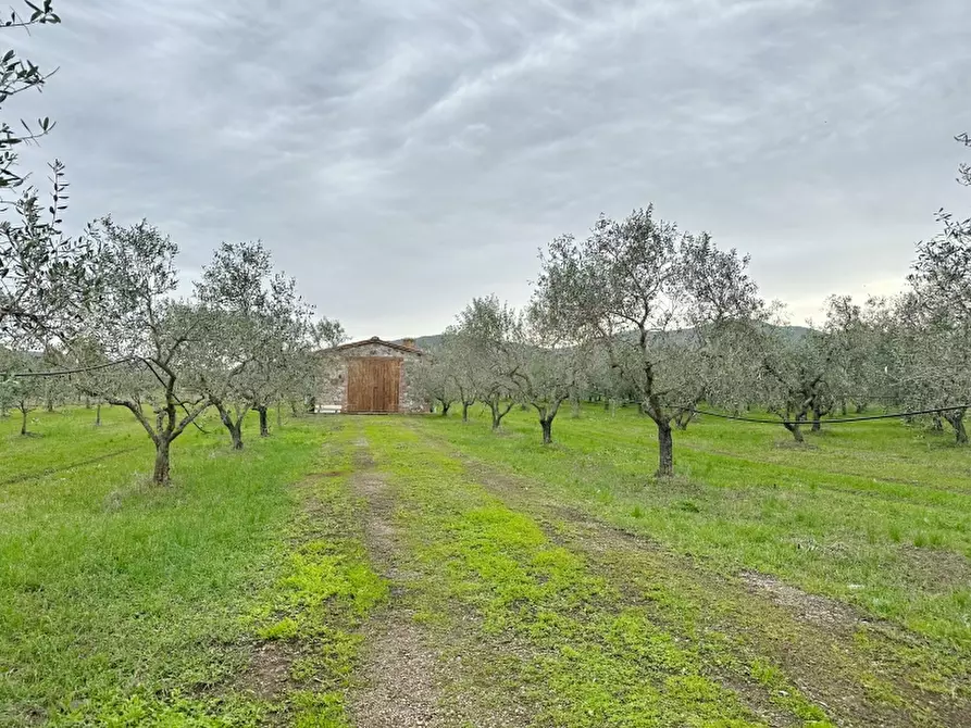 Immagine 2 di Rustico / casale in vendita  in VIA MARCONI 167 a Gavorrano