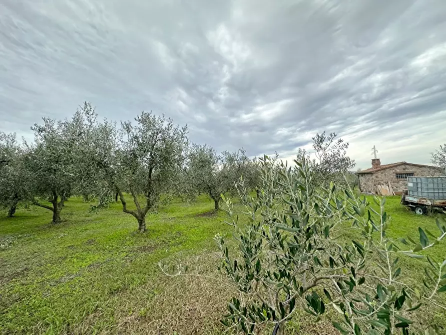 Immagine 13 di Rustico / casale in vendita  in VIA MARCONI 167 a Gavorrano