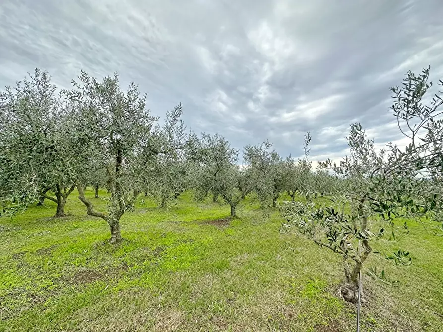 Immagine 14 di Rustico / casale in vendita  in VIA MARCONI 167 a Gavorrano