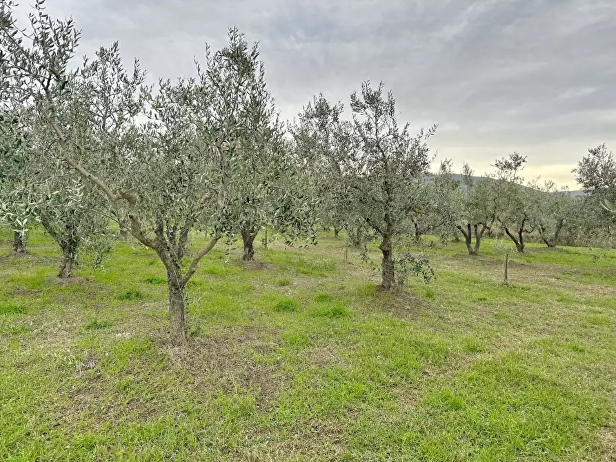 Immagine 15 di Rustico / casale in vendita  in VIA MARCONI 167 a Gavorrano