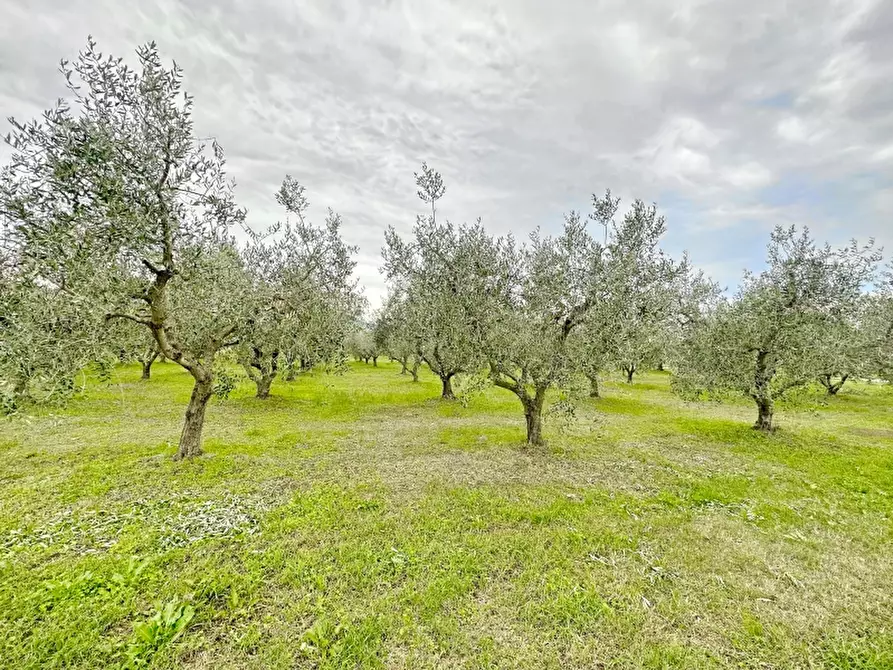 Immagine 6 di Rustico / casale in vendita  in VIA MARCONI 167 a Gavorrano
