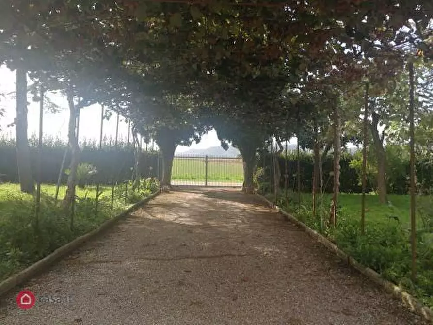 Immagine 12 di Rustico / casale in vendita  in Giuncarico a Gavorrano