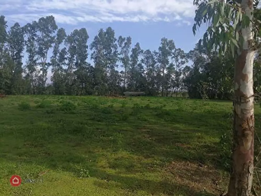 Immagine 4 di Rustico / casale in vendita  in Giuncarico a Gavorrano