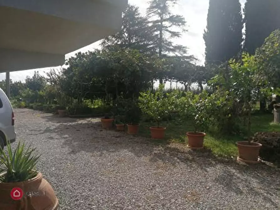 Immagine 6 di Rustico / casale in vendita  in Giuncarico a Gavorrano