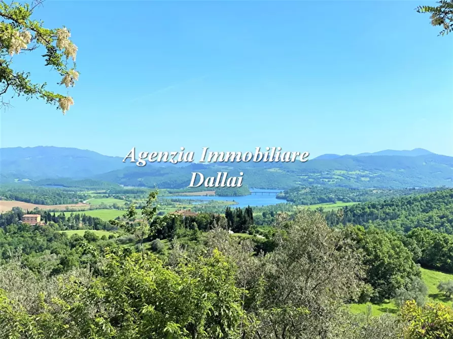 Immagine 1 di Casa colonica in vendita  a Barberino Di Mugello