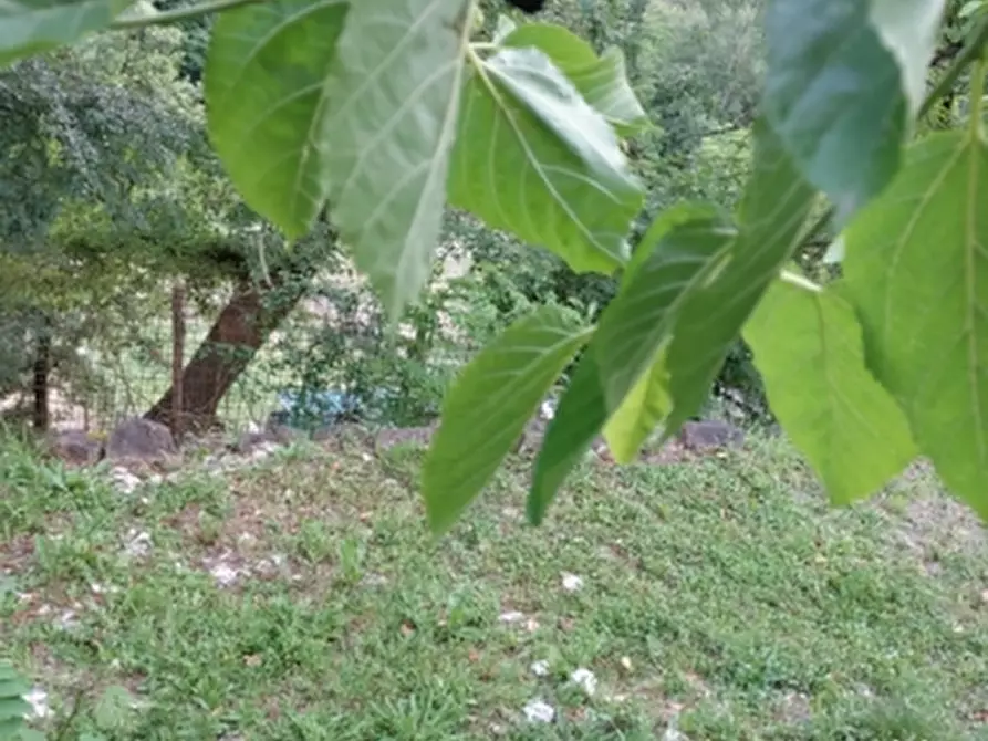 Immagine 5 di Casa indipendente in vendita  a Scarperia E San Piero