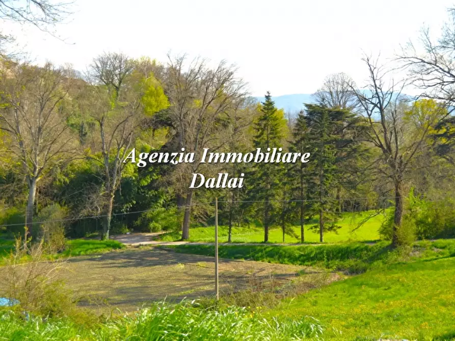 Immagine 5 di Terratetto in vendita  a Borgo San Lorenzo