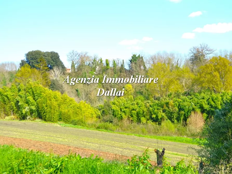 Immagine 4 di Terratetto in vendita  a Borgo San Lorenzo