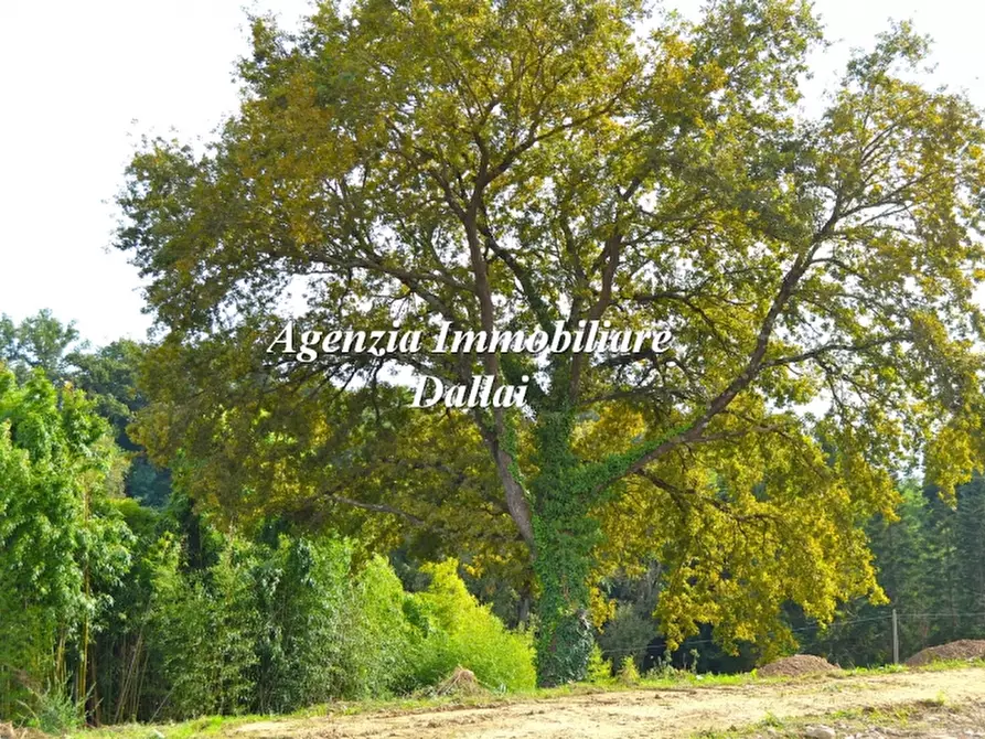 Immagine 6 di Terratetto in vendita  a Borgo San Lorenzo