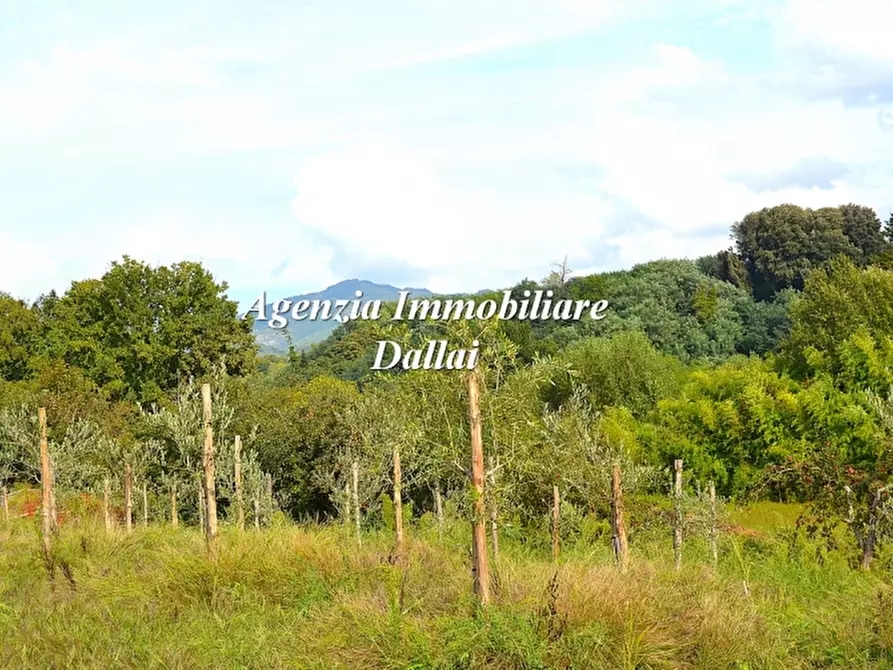 Immagine 37 di Terratetto in vendita  a Borgo San Lorenzo