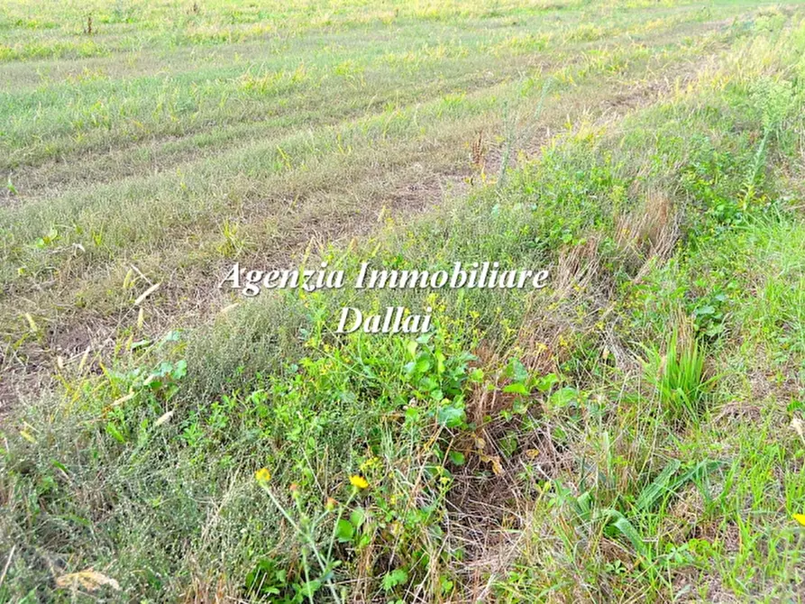 Immagine 38 di Terratetto in vendita  a Borgo San Lorenzo