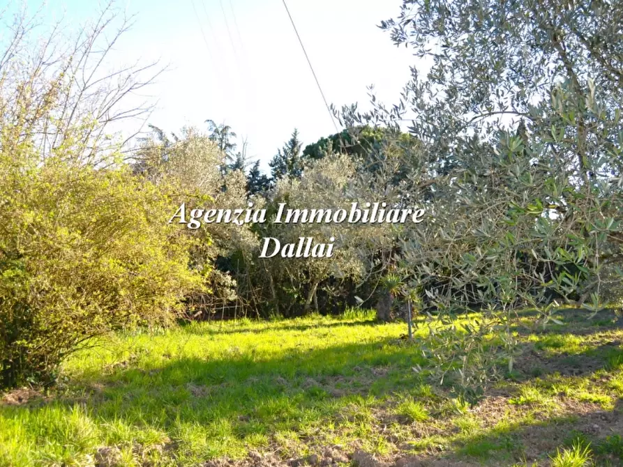 Immagine 29 di Appartamento in vendita  a Barberino Di Mugello