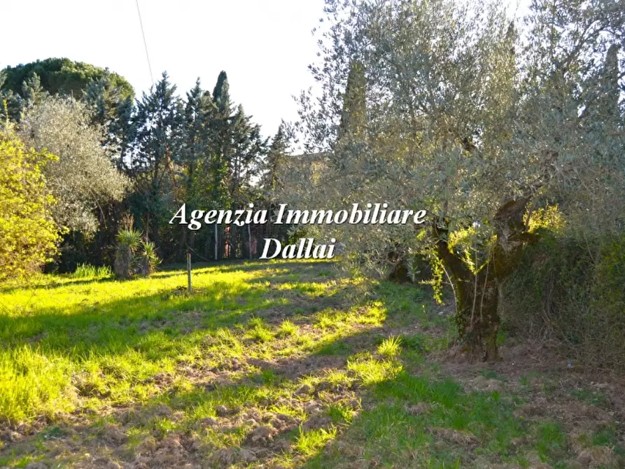 Immagine 28 di Appartamento in vendita  a Barberino Di Mugello