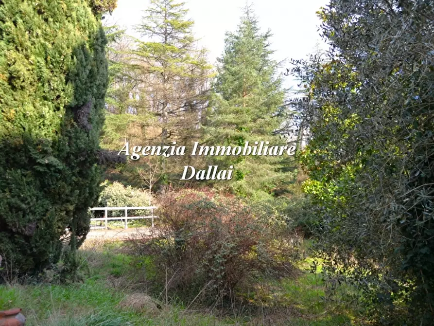 Immagine 4 di Villa in vendita  a Borgo San Lorenzo