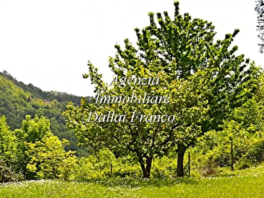 Immagine 5 di Casa colonica in vendita  a Scarperia E San Piero