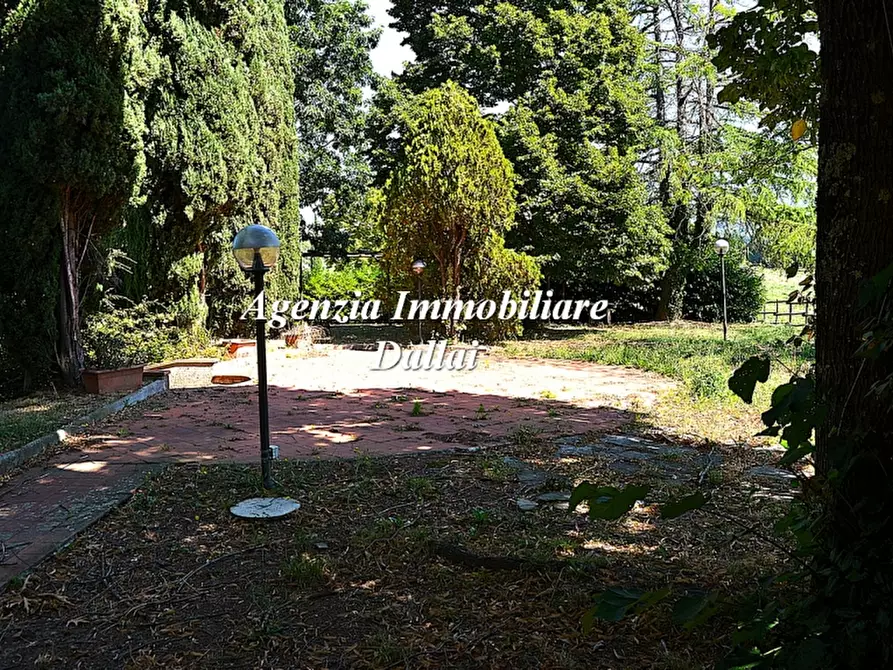 Immagine 3 di Azienda agricola in vendita  a Barberino Di Mugello