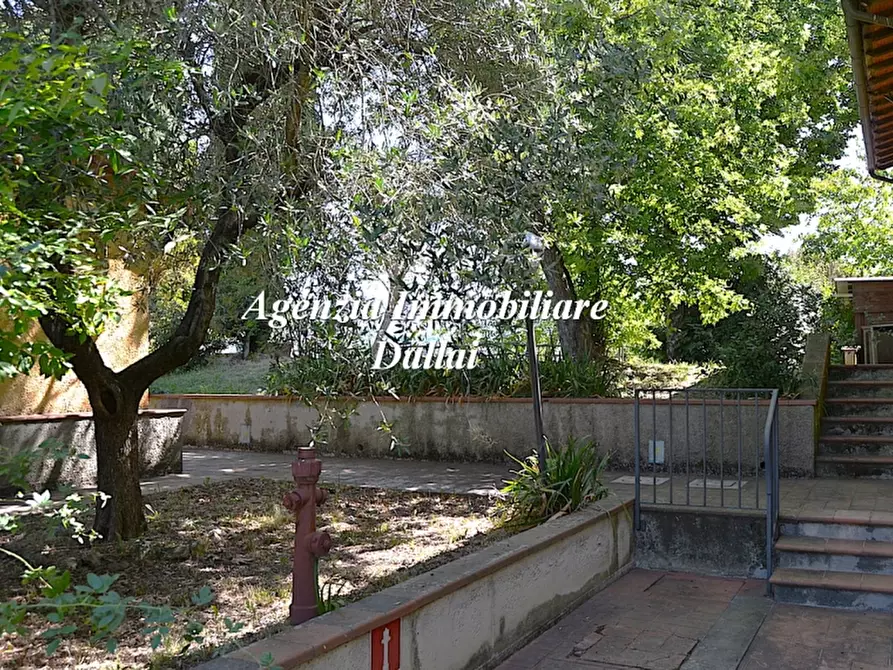 Immagine 20 di Azienda agricola in vendita  a Barberino Di Mugello