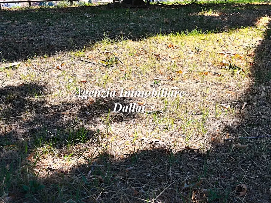 Immagine 4 di Azienda agricola in vendita  a Barberino Di Mugello