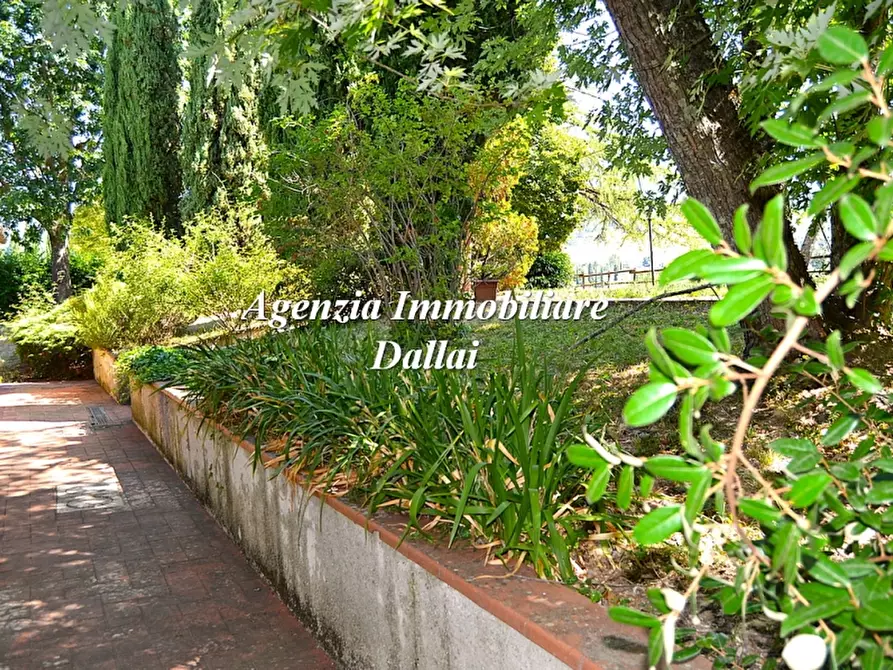 Immagine 2 di Azienda agricola in vendita  a Barberino Di Mugello