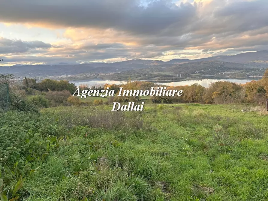 Immagine 40 di Casa colonica in vendita  a Barberino Di Mugello