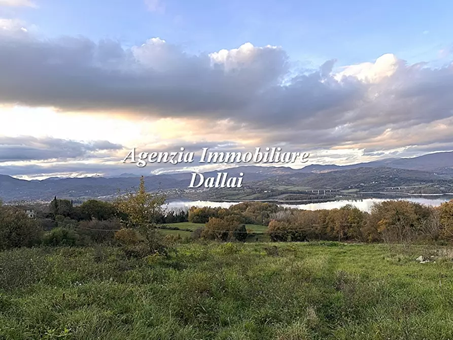 Immagine 3 di Casa colonica in vendita  a Barberino Di Mugello