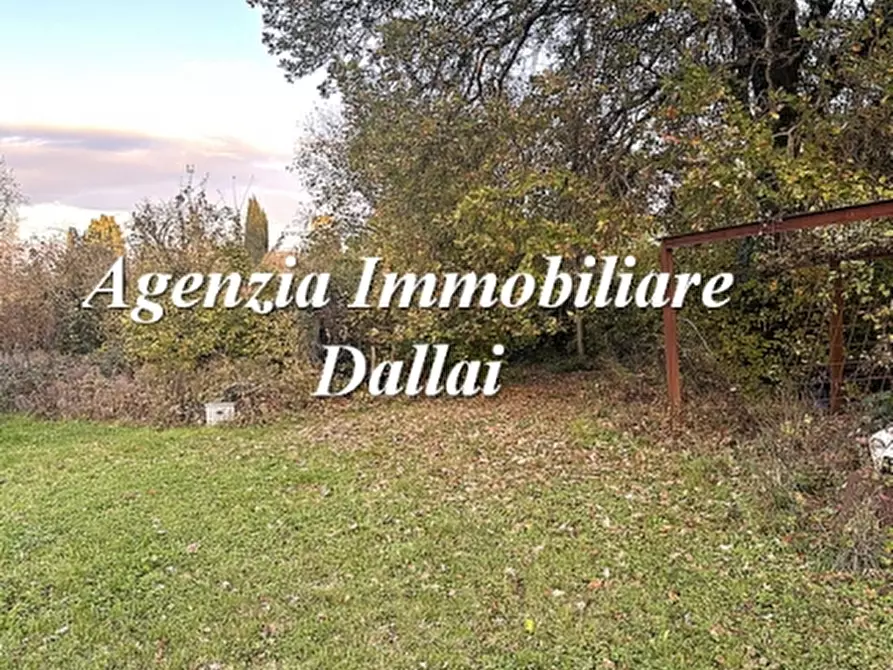 Immagine 4 di Casa colonica in vendita  a Barberino Di Mugello