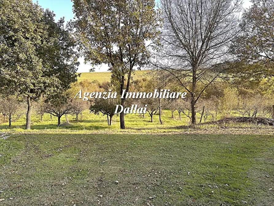 Immagine 21 di Villa in vendita  a Scarperia E San Piero