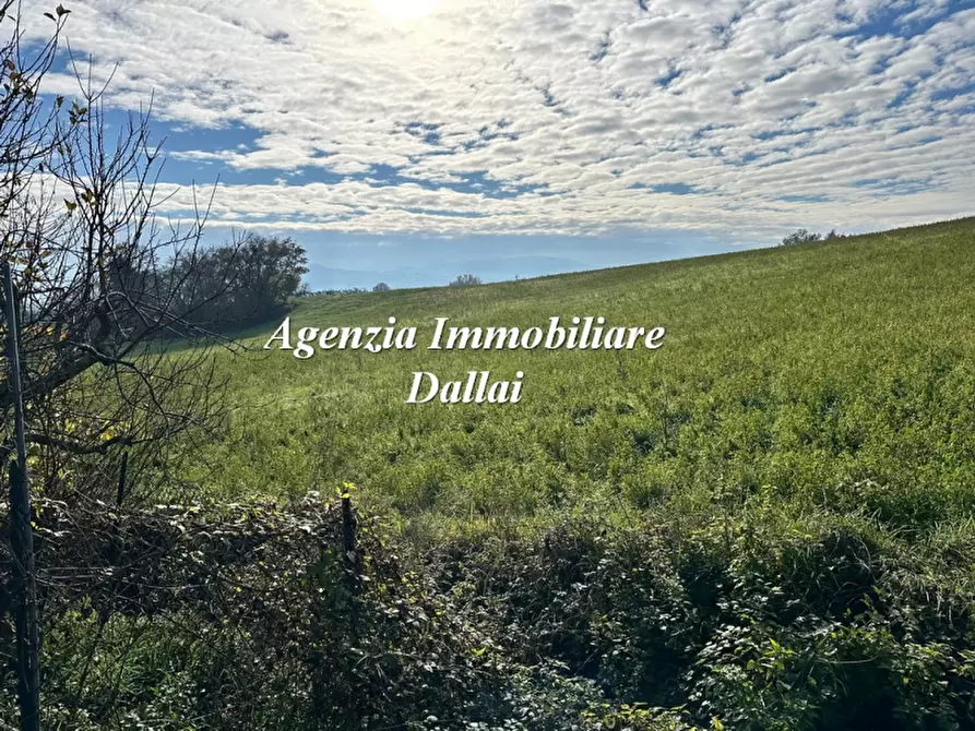 Immagine 35 di Terratetto in vendita  a Borgo San Lorenzo