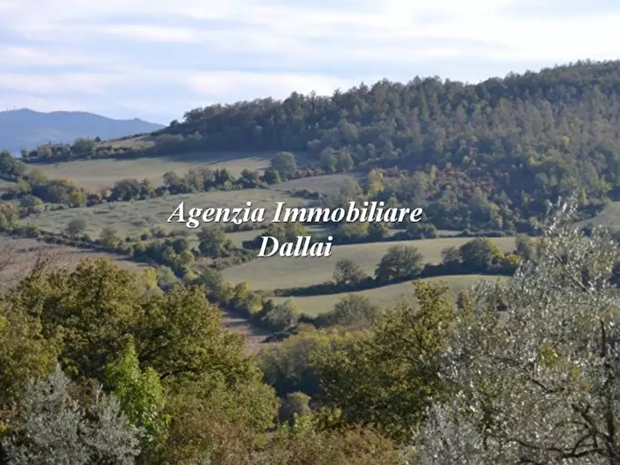 Immagine 21 di Casa indipendente in vendita  a Barberino Di Mugello