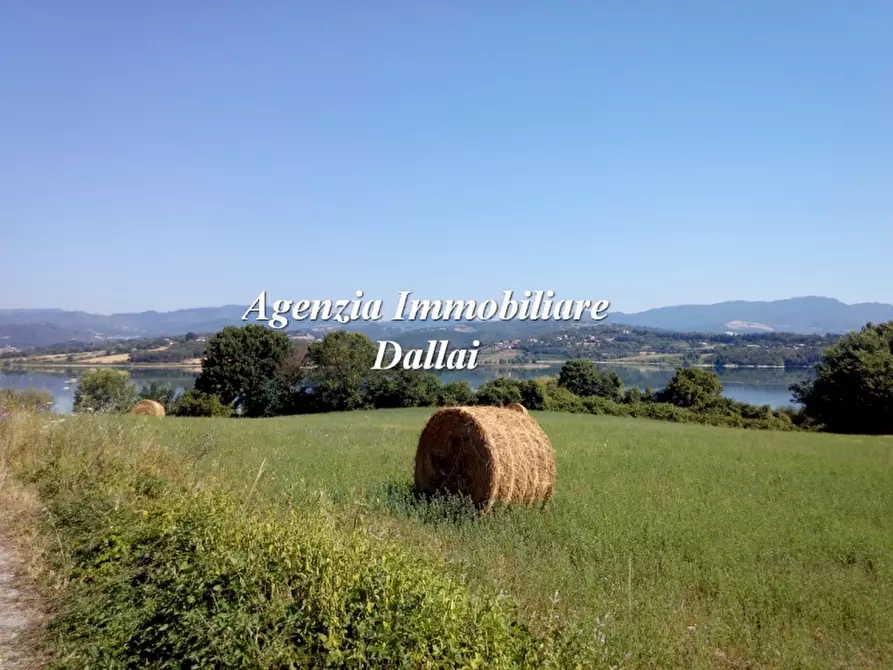 Immagine 16 di Casa indipendente in vendita  a Barberino Di Mugello